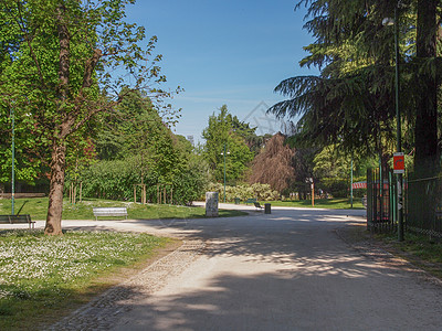 米兰的绿色公园树木植被草地图片