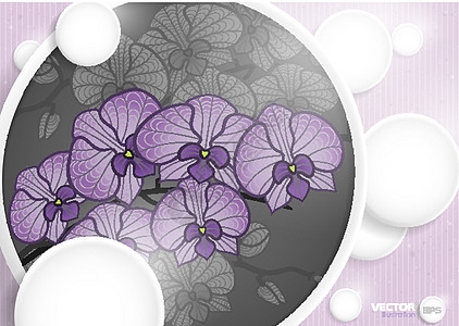 白皮书圈背景摘要 1998年框架空气商业植物群紫色圆圈横幅草图插图圆形图片