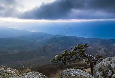 山里的松树背景是克里米亚的Demerdji森林公园旅行木头石头顶峰风景天空岩石生态图片