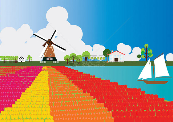 荷兰荷兰语景观郁金香风车面粉图片