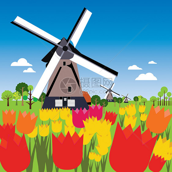 荷兰荷兰语景观风车面粉郁金香图片