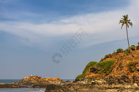 GOA海滩上的岩石石头海景野生动物棕榈海岸线天空支撑海岸图片