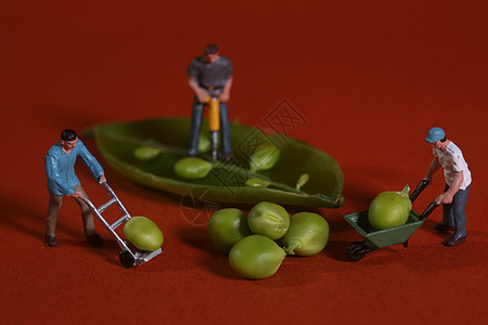 建筑工人与Saw Peas一起构思食品形象概念的建筑工人工作创造力食物红色绿色尺寸喜剧塑料工具时代图片