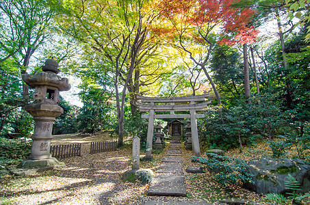 花园中的日本传统寺庙图片