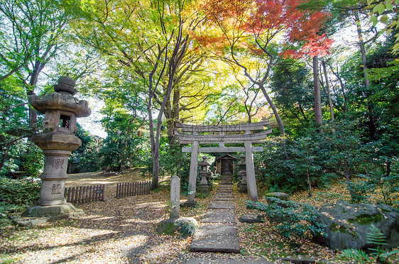 花园中的日本传统寺庙图片