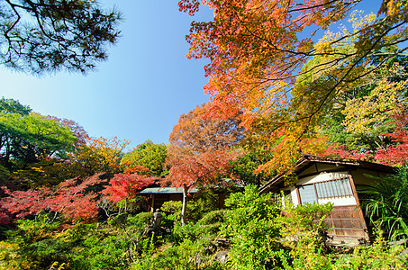 日本花园传统屋宇 日本花园图片