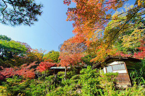 日本花园传统屋宇 日本花园图片