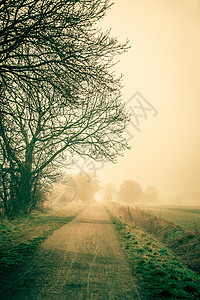 清晨的迷雾路图片