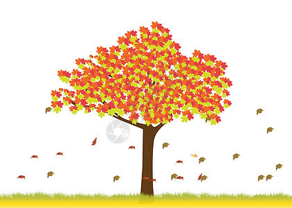 秋季的芒树植物叶子树叶金子树干框架插图绘画墙纸橙子图片