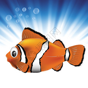 海鱼动物盐水装饰动物群风格卡通片荒野野生动物橙子潜水图片