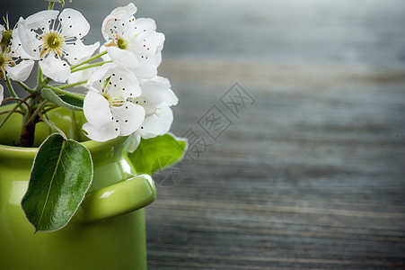 在木本底的锅里花樱花静物桌子植物木头季节叶子宏观花瓣乡村枝条图片