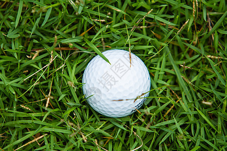绿色草地上的高尔夫球球道游戏球座宏观运动草皮白色场地推杆图片