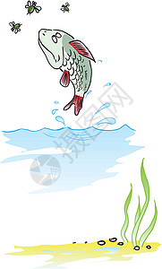 鱼从水中跳出昆虫卡通片插图飞行环境翅膀钓鱼绘画海藻气泡图片