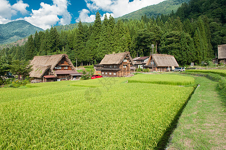 Ogimachi村文化遗产建筑学房屋农家农场三角形露天村庄历史图片