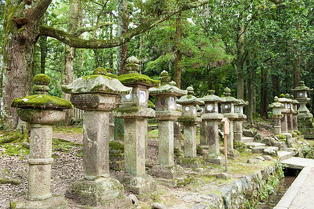 纳拉的绿灯神社神道建筑学宗教寺庙灯笼石头文化地标大社图片