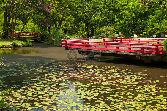美美的日本花园绿色植物分支机构红色石头粉色软垫森林花园水池图片