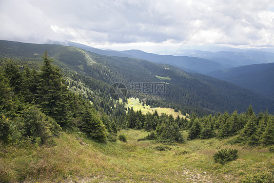 喀尔巴山山脉针叶场景地形松树风景阴霾旅行纱布荒野城市图片