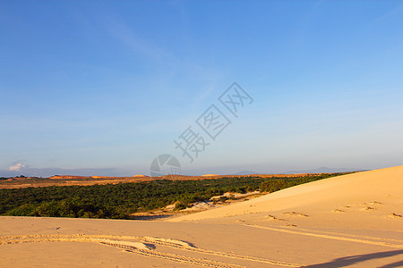 沙漠中的绿洲旅行地平线衬套地区沙丘荒野植物极端戈壁地形图片