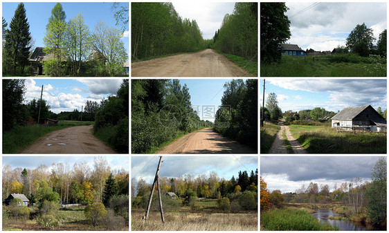 本地的开放空间 景观照片森林绿色植被乡村树木天空图片