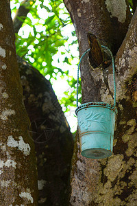 蓝桶金属房子树木花园背景图片
