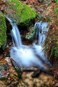 小型瀑水细节石头木头假期旅行公园苔藓森林植物风景荒野图片