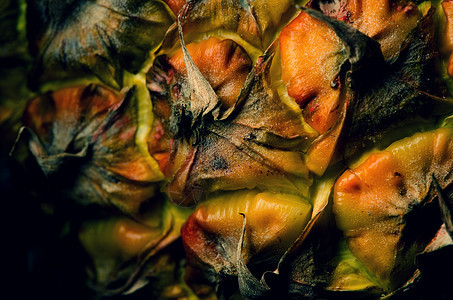 菠萝纹理小吃甜点情调水果果皮宏观异国植物热带营养图片