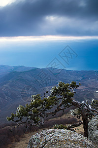 山里的松树背景是克里米亚的Demerdji生态旅行顶峰岩石场景石头天空风景季节森林图片