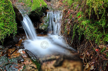 小型瀑水细节旅行荒野溪流激流假期天堂风景苔藓叶子森林图片