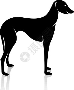 狗的矢量图像阿扎瓦赫牧羊人二传手黑色狐狸短毛红色食物斑点小狗宠物图片