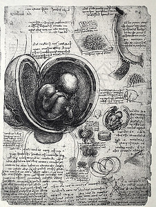 解解剖学保健身体生物学草图生理科学家名声男性科学绘画图片