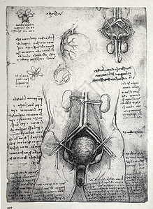 解解剖学学习保健卫生历史名声生理男人生物学艺术插图图片