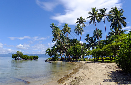 斐济Vanua Levu岛海滩上的棕榈树热带海洋海岸情调天空蓝色港口天堂旅行海岸线图片