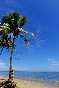 斐济Vanua Levu岛海滩上的棕榈树港口热带旅行支撑情调异国海洋海岸天空女士图片