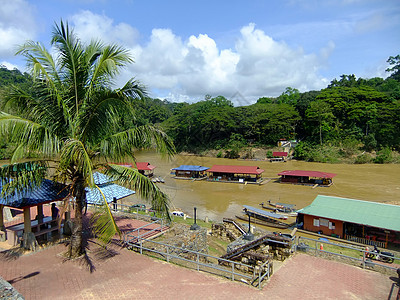 国家公园Tembeling河上漂浮的餐馆游客森林丛林房子爬坡绿色公园运输码头踪迹图片