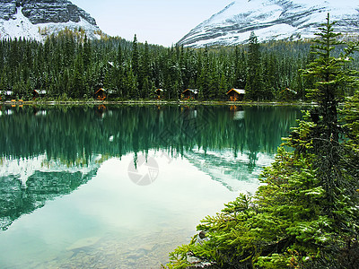 加拿大不列颠哥伦比亚省约霍国家公园奥哈拉湖天空荒野冰川风景蓝色高山高原森林树木松树图片
