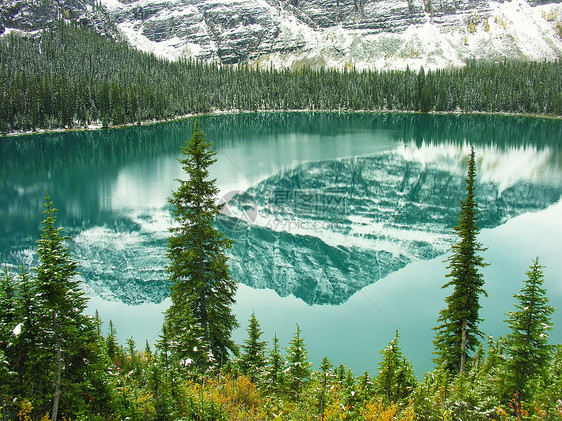 加拿大不列颠哥伦比亚省约霍国家公园奥哈拉湖蓝色高原国家荒野松树树木森林风景反射公园图片