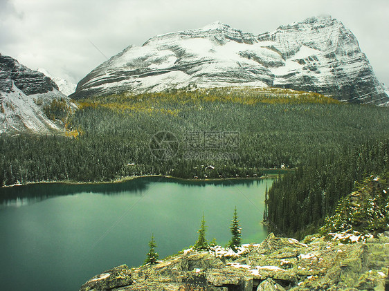 加拿大不列颠哥伦比亚省约霍国家公园奥哈拉湖天空高原国家公园荒野冰川风景树木高山蓝色图片