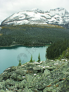 加拿大不列颠哥伦比亚省约霍国家公园奥哈拉湖荒野高原风景蓝色反射冰川天空树木高山森林图片