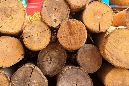 木材树桩记录树干柴堆燃料环境制造业林业砍伐生长图片
