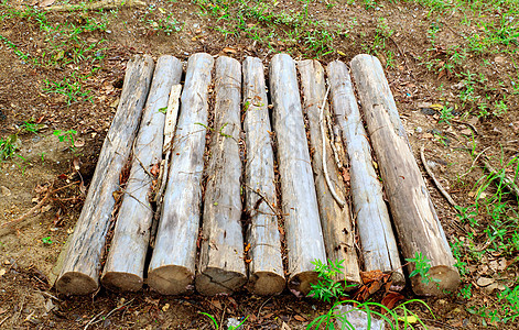 木材材料树桩生产柴堆树干制造业棕色燃料生态日志图片