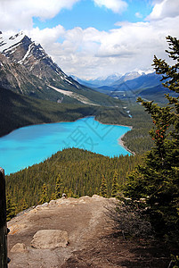 加拿大班夫国家公园佩托湖图片