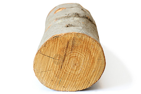 白色的木柴烧伤硬木能源壁炉材料活力树桩燃料林业资源图片