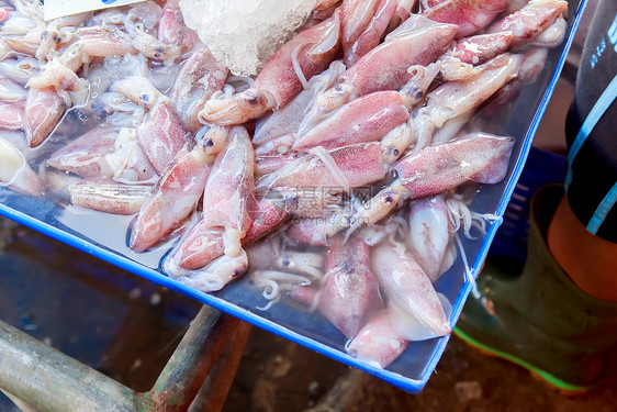 鱿鱼海鲜食物钓鱼厨房婴儿眼睛生活乌贼市场触手图片