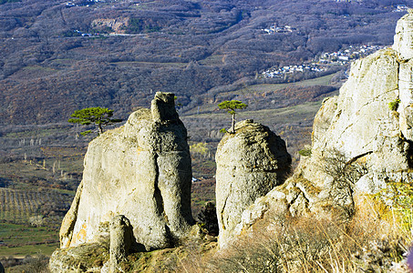 山里的松树背景是克里米亚的Demerdji岩石风景蓝色场景木头森林天空旅行日落生长图片