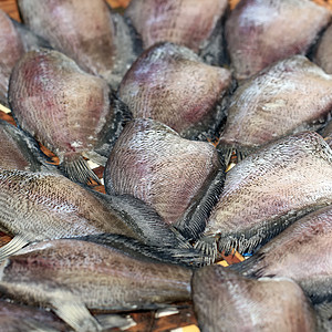 干三磷鱼食物市场篮子早餐美食烹饪盐渍午餐海鲜竹子图片