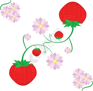 草莓和鲜花 矢量说明图片