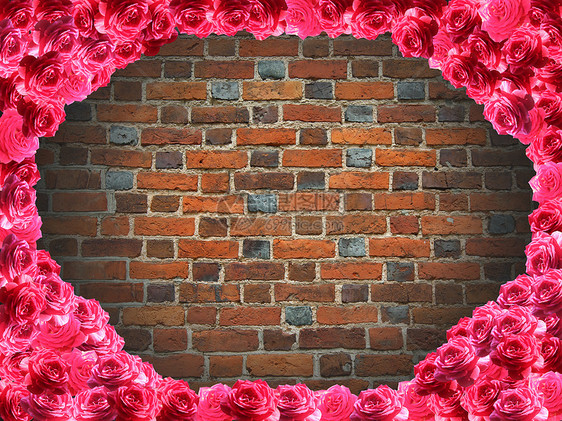 来自红砖墙的架子玫瑰和背景图片