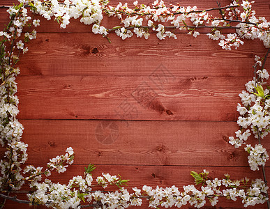木材纹理背景上的夏花轻木国家木工墙纸平行线松树硬木岩石木头资源图片