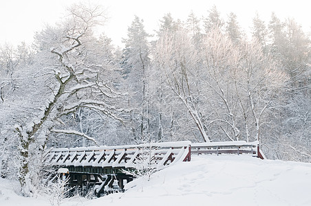 冬季风景 仙林 桥 雪树图片