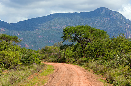 红地路 热带草原灌树 察沃西部 肯尼亚 非洲天空荒野植物群国家大草原蓝色公园环境植物旅行图片